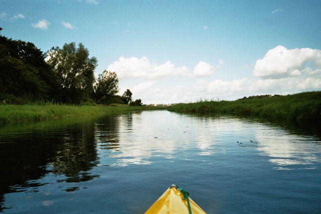 Loading Image