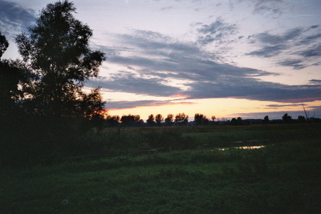 Loading Image