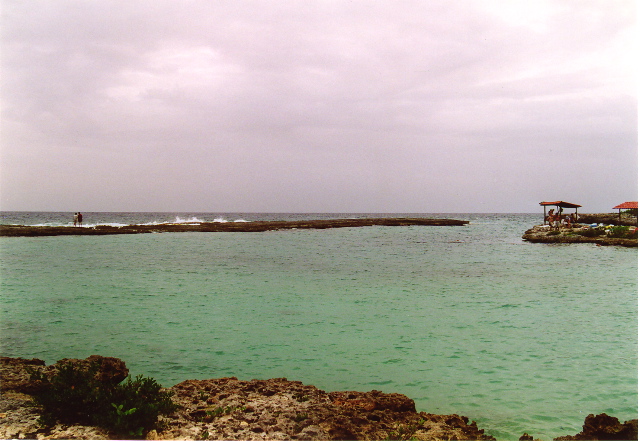 Loading Image
